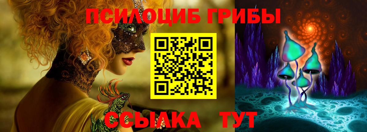 Мытищи  Галлюциногенные грибы Psilocybe  Вход с VPN  Галлюциногенные грибы MAGIC MUSHROOMS 